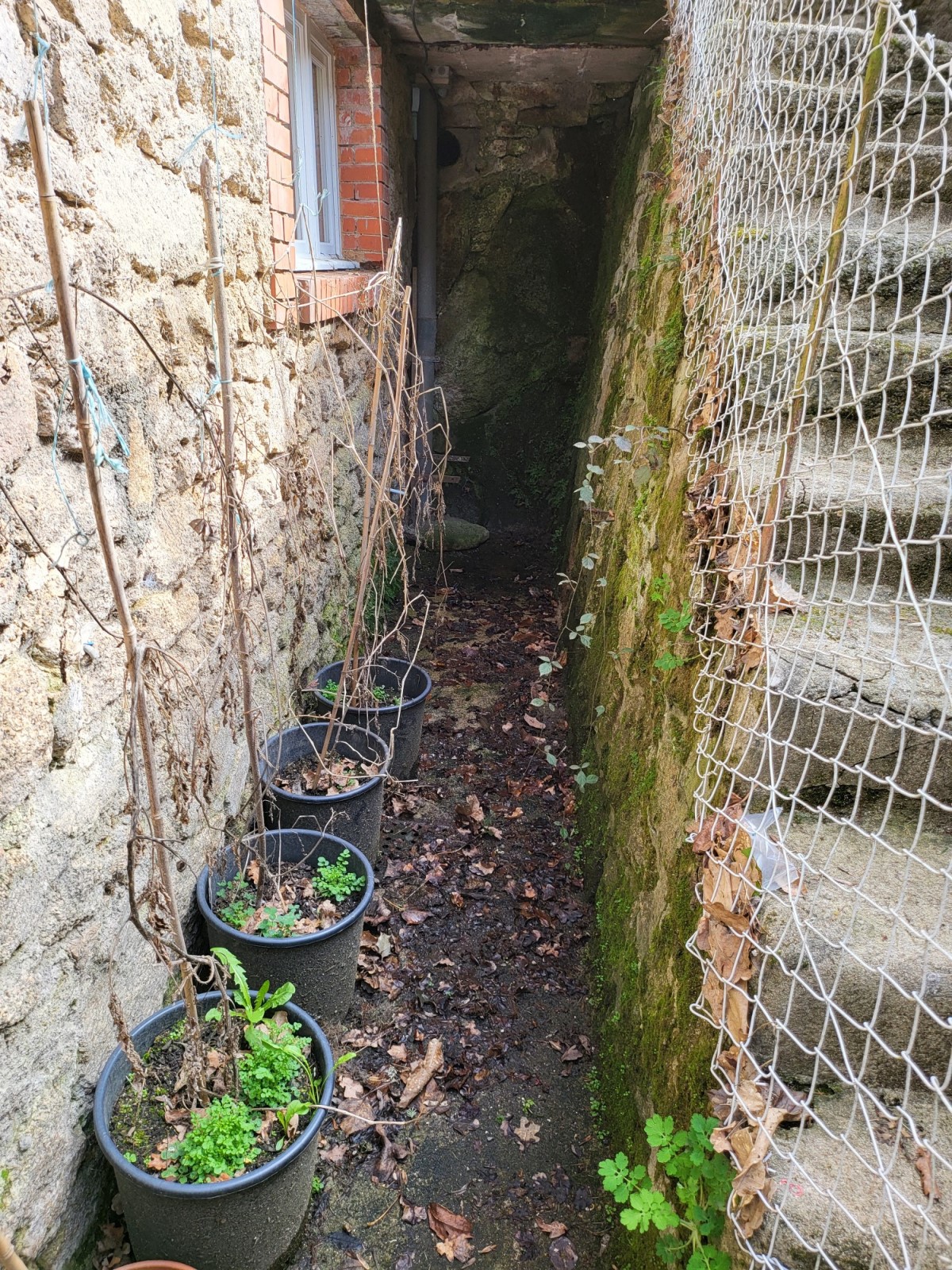 before pressure wash